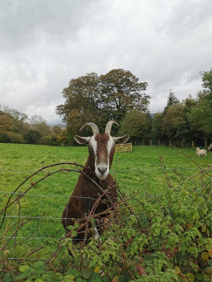 Gosforth  Rainors Farm Cottage מראה חיצוני תמונה